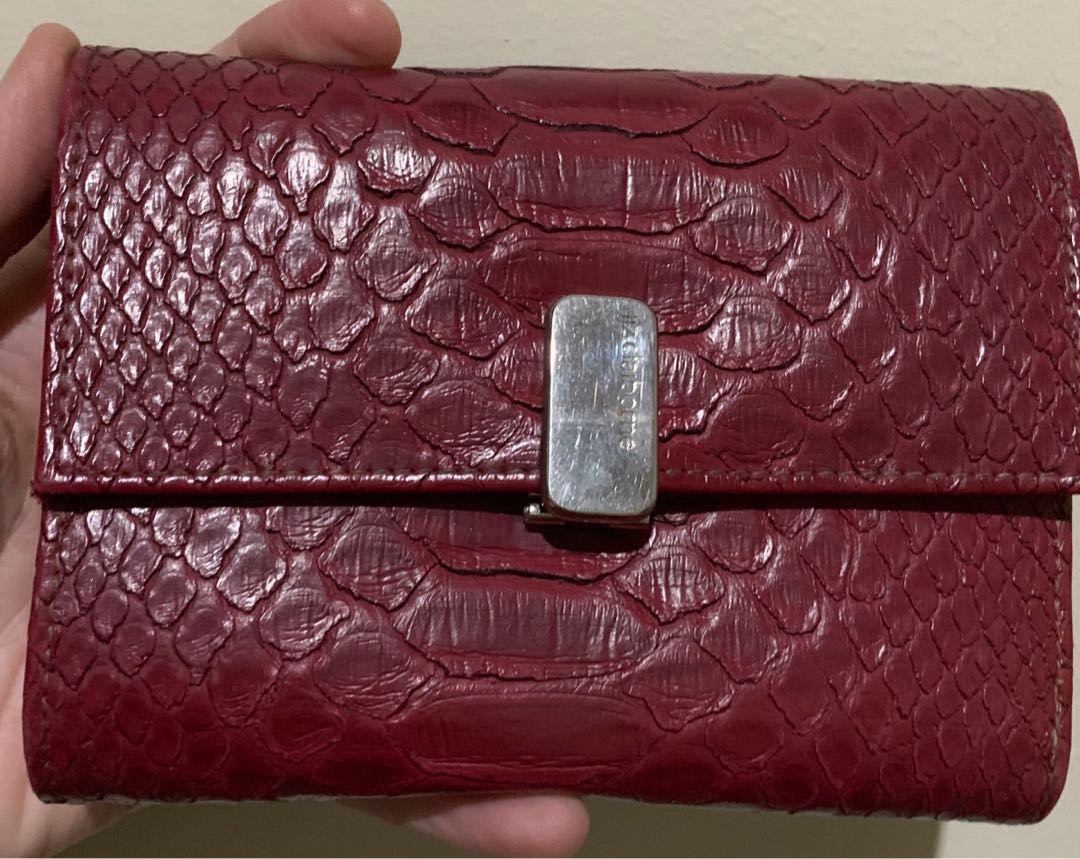 black and white dog short hair