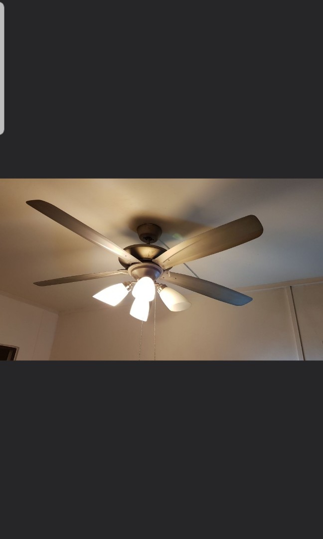 Ceiling Fan 50