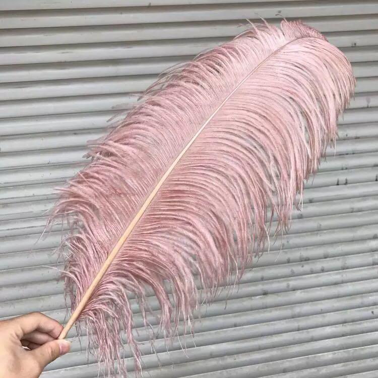 Decor (Category: Occasions & Party Supplies) located in Singapore. Submitted by clearclothes (Listing ID 215423820, Image 1). Description: Table skirt - 2m champagne colour 2 layers w 1 base cloth - $10 60 cm Feathers pink - $18 for 2 .