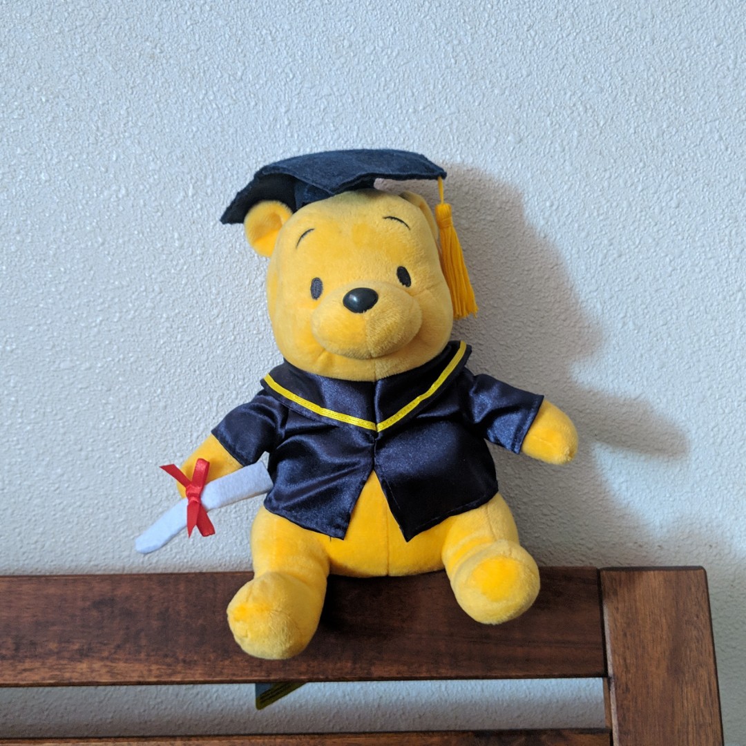 winnie the pooh graduation bear, Hobbies & Toys, Toys & Games on Carousell