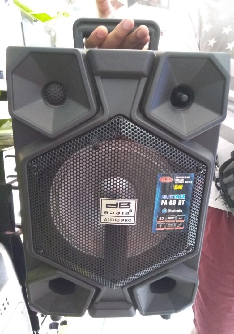 portable speaker and microphone system