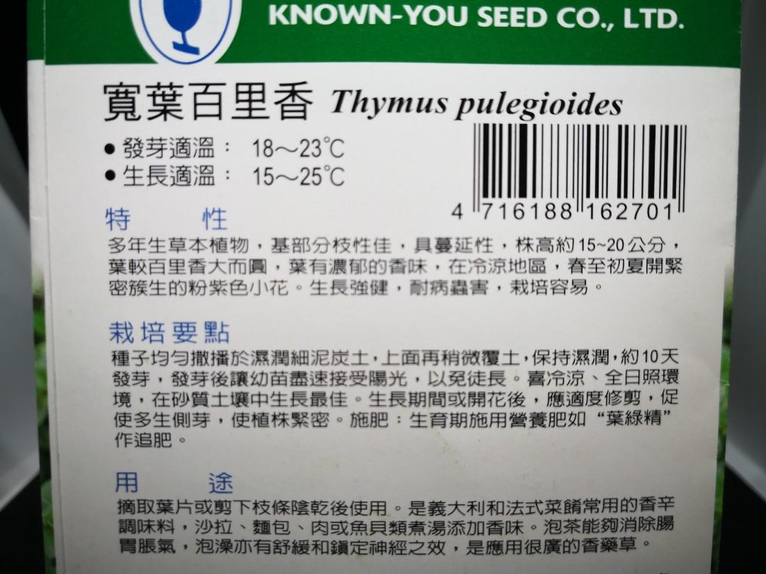 寬葉百里香wild Thyme種子 散裝 傢俬 家居 Gardening Plants Carousell