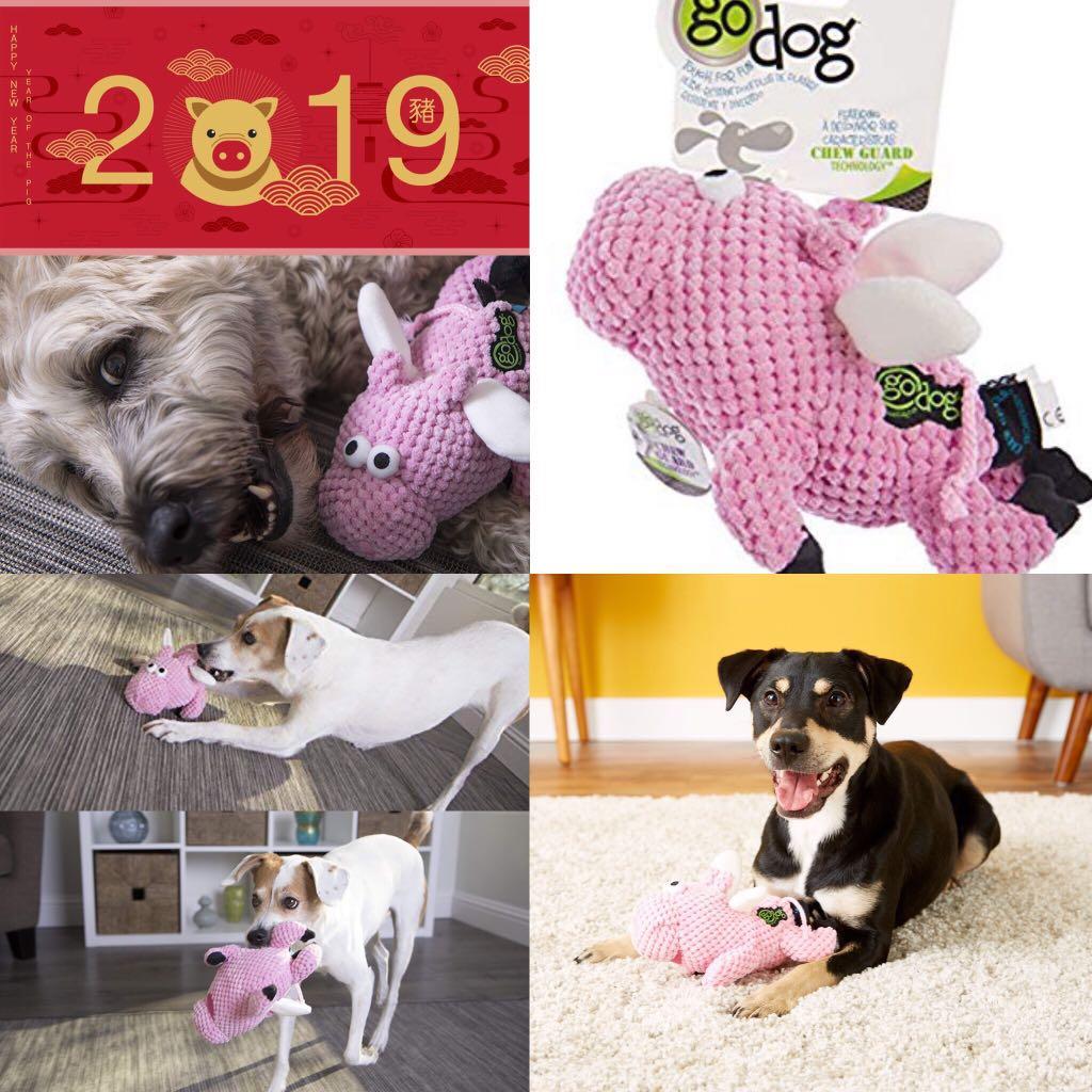 checkers pet accessories