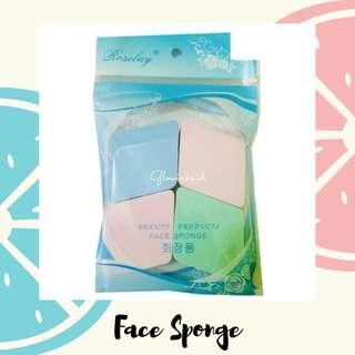 Make Up Sponge