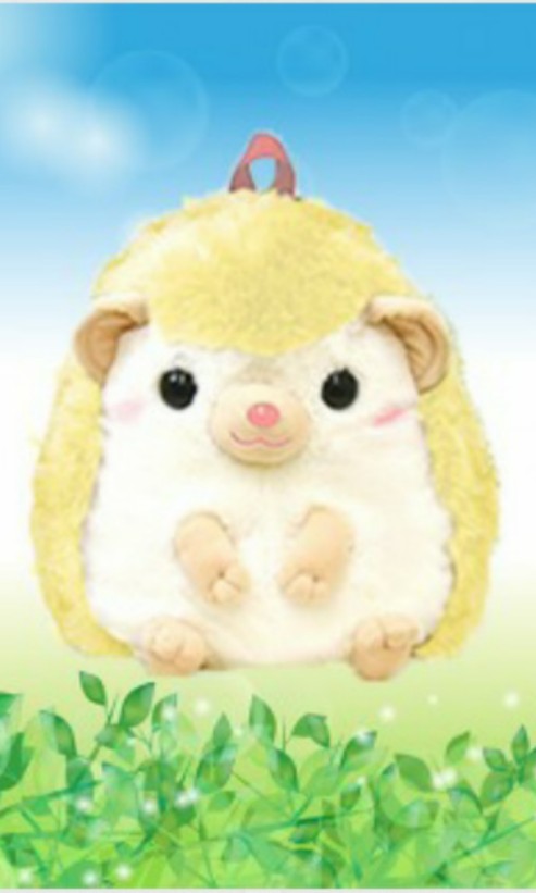 amuse collection hedgehog