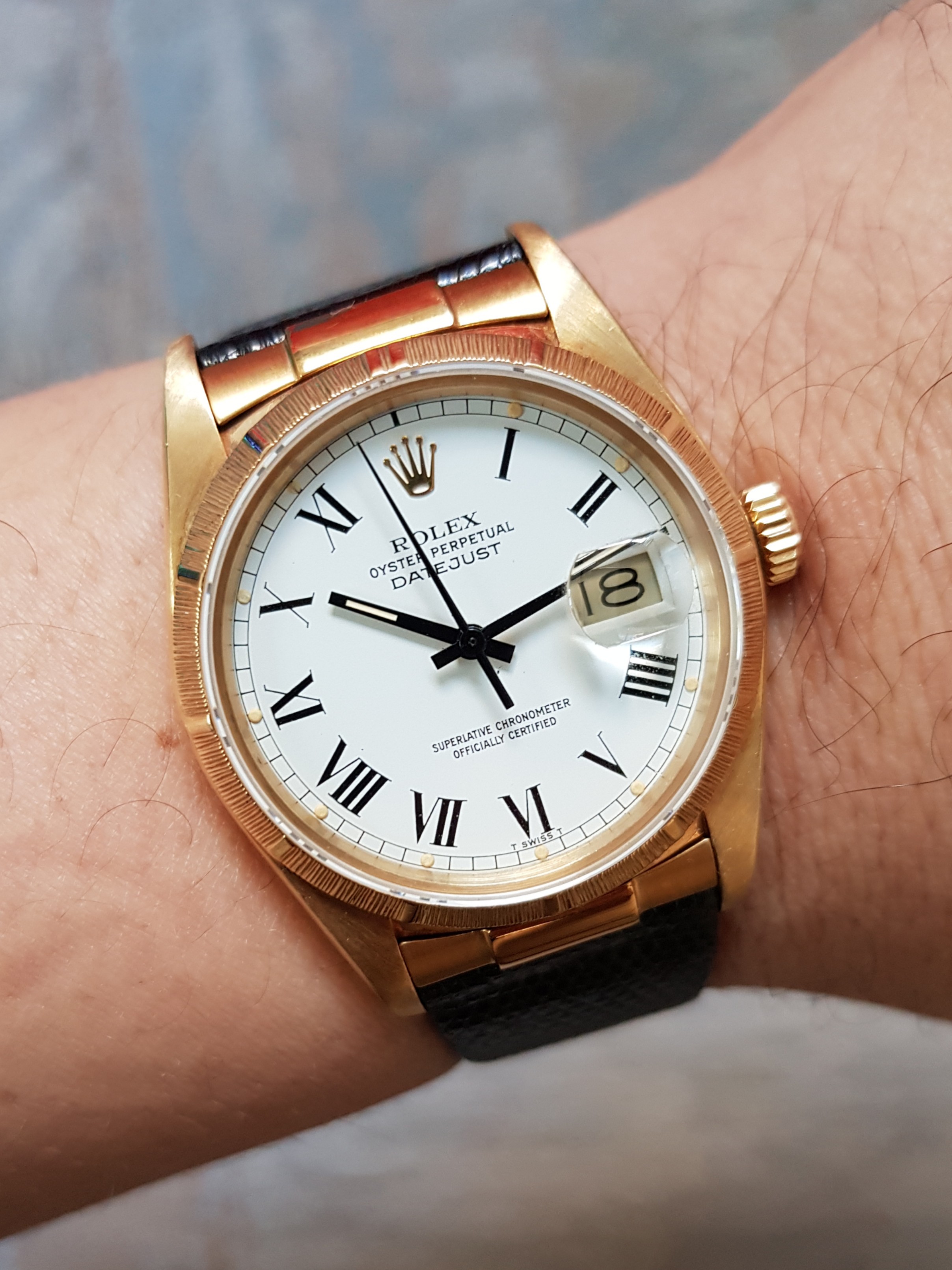 Bark Bezel Buckley Dial Rolex 16018 Datejust Luxury Watches On Carousell