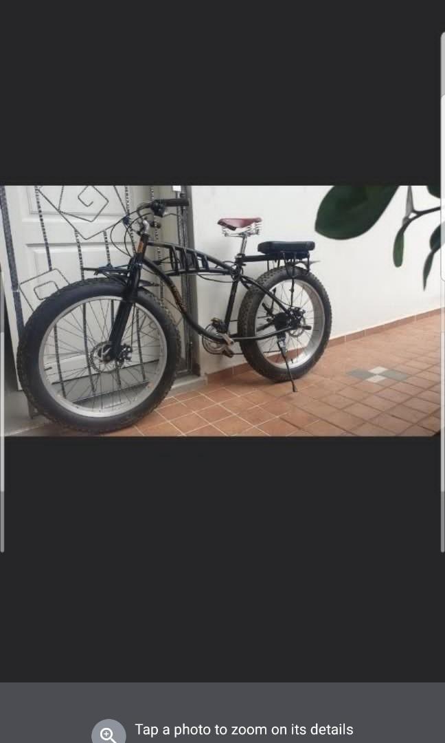 custom fat bike