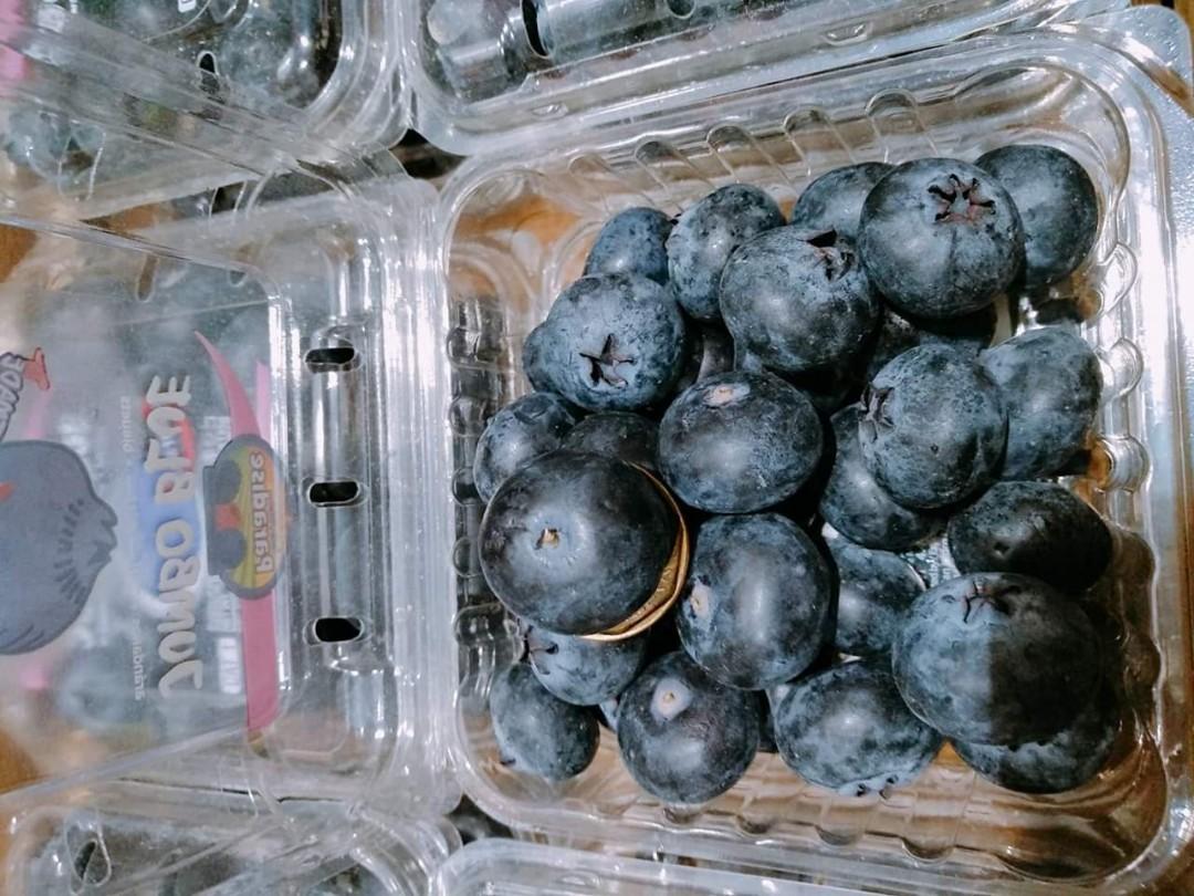 Mexico Jumbo Blueberry – FattFruits