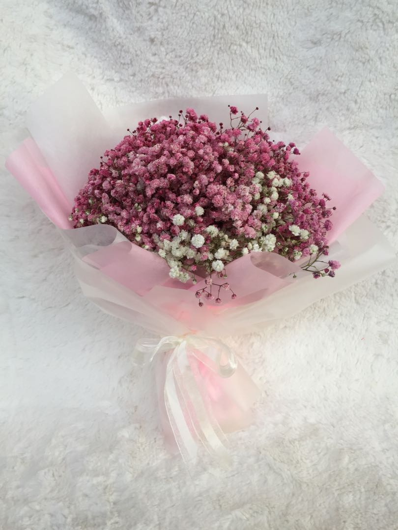 Baby Breath Bouquet Gardening Flowers Bouquets On Carousell