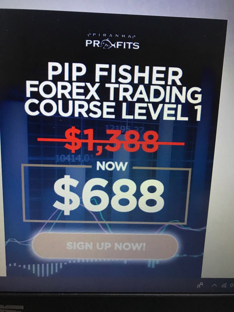 Forex Trading Course Level 1 - 