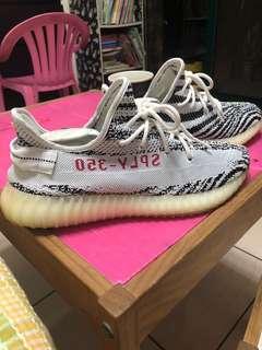 350 V2 yezzy 斑馬 10.5