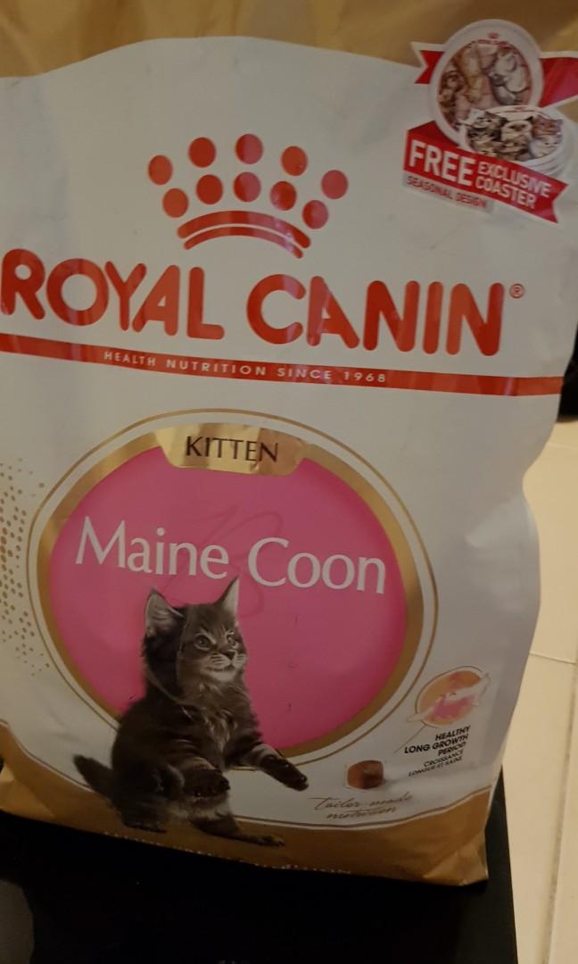 3 5kg Royal Canin Mainecoon Kitten Wet Pouches Pet Supplies