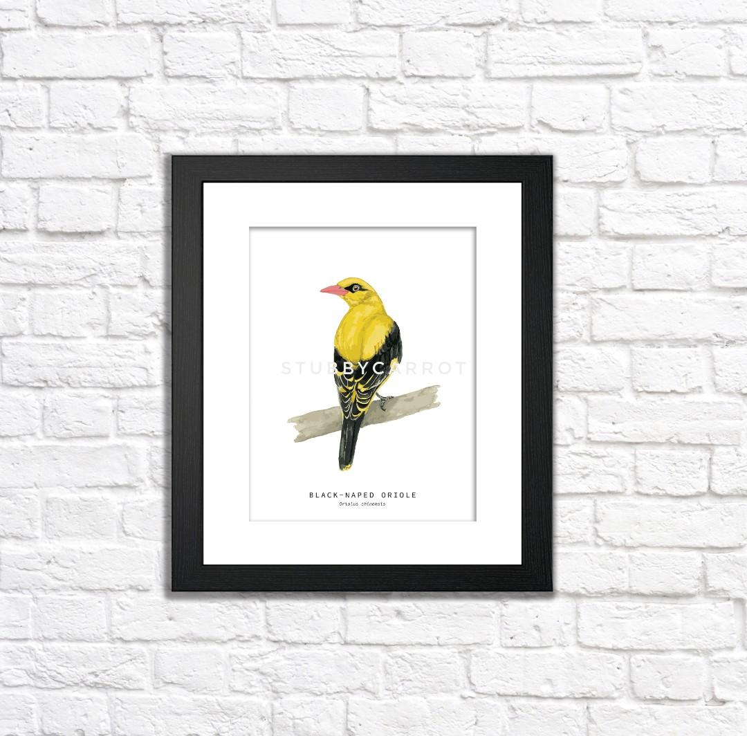 Affordable Wall Art Black Naped Oriole Original Art Print Design Craft Art Prints On Carousell