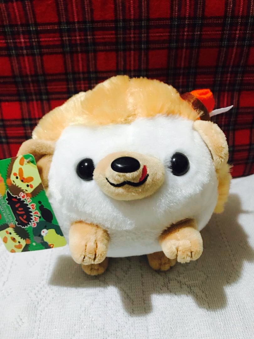 amuse hedgehog plush