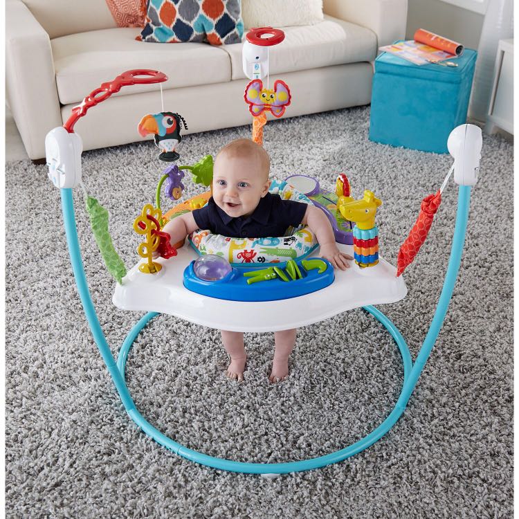 FISHER PRICE Animal Activity Jumperoo main image 0