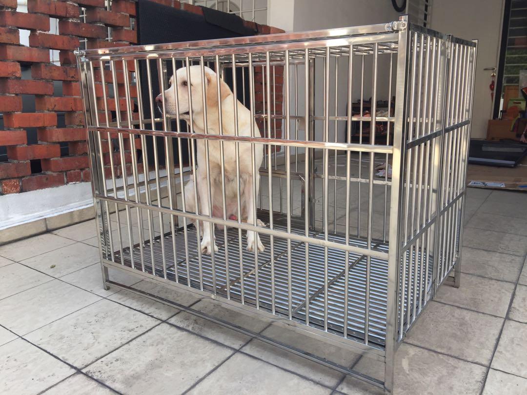 Used stainless steel dog cages hotsell