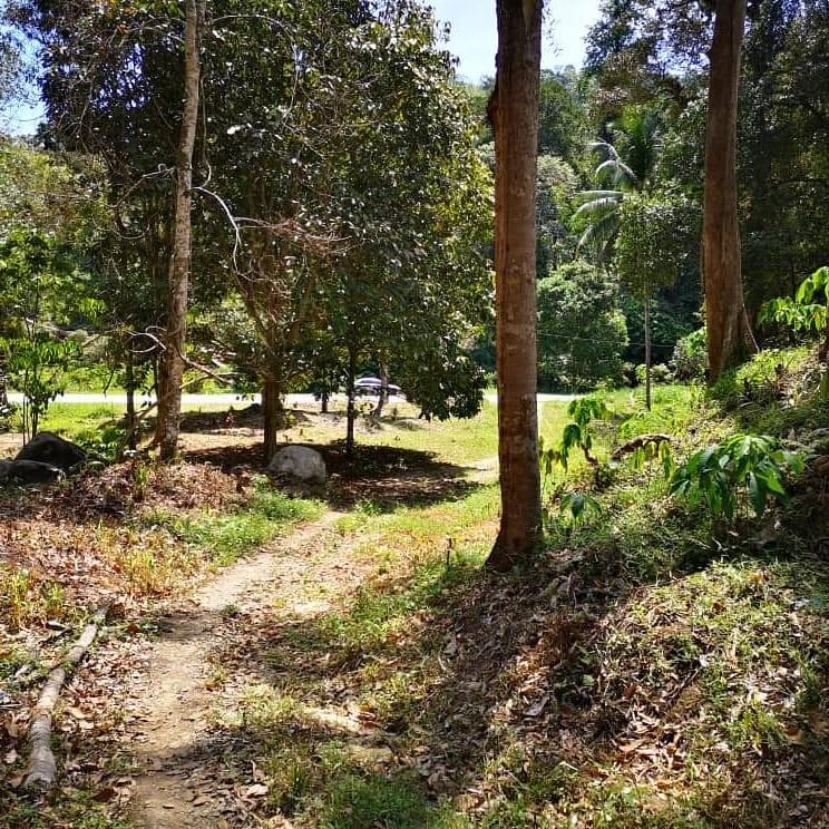 Tanah Dusun Untuk Dijual Hulu Langat Property For Sale On Carousell