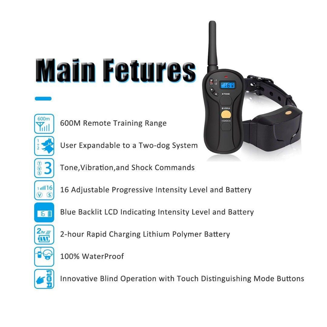 Focuspet dog hot sale training collar