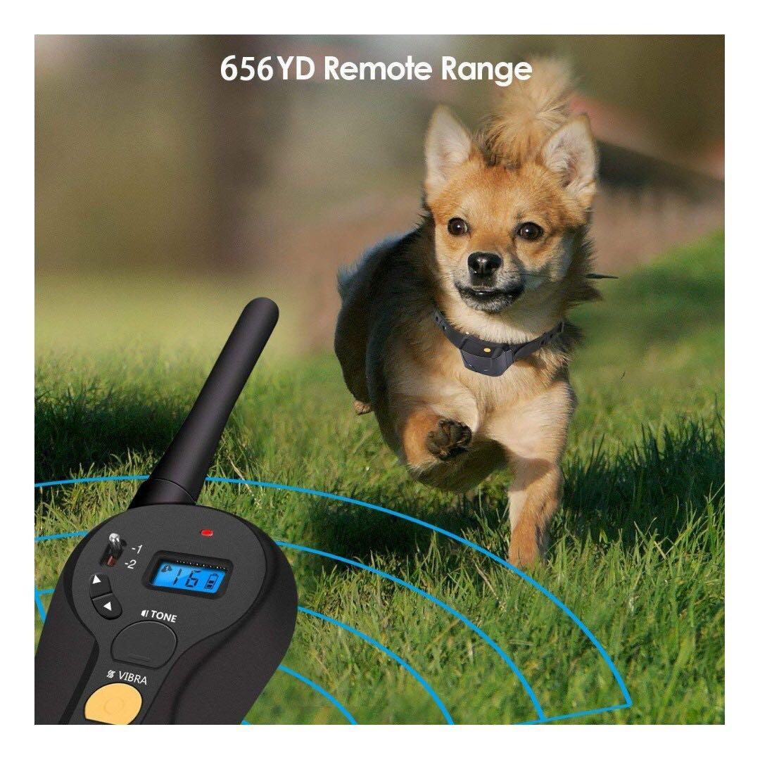 1866 FOCUSPET Dog Training no Shock Collar Remote Dog Training Collar with Vibration Beep and Waterproof Electronic Collar for Dogs Pet Supplies Homes Other Pet Accessories on Carousell