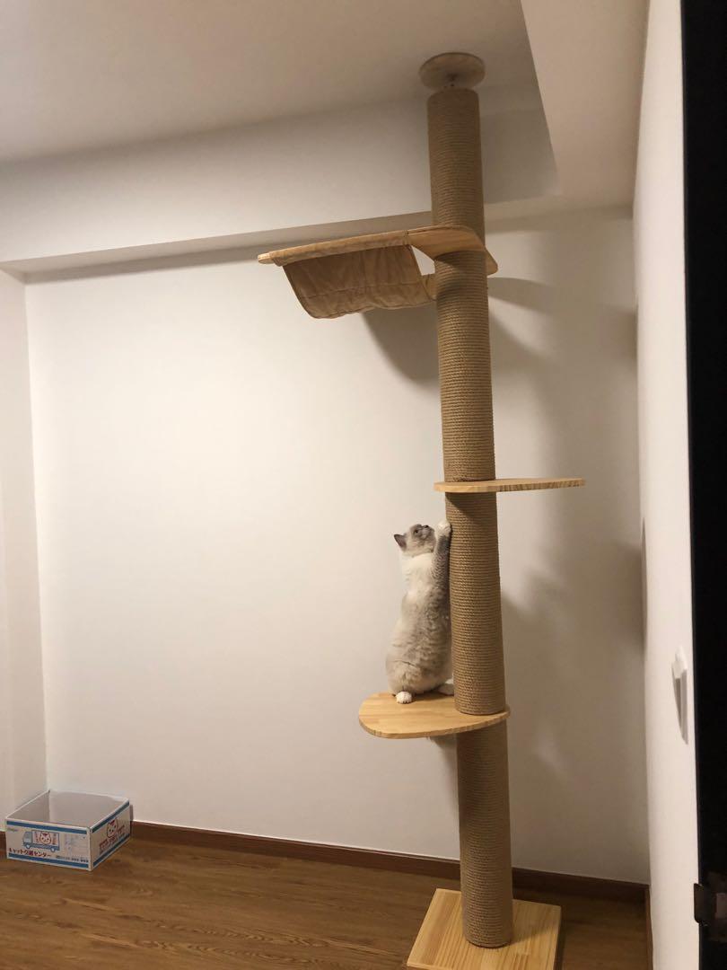 floor to ceiling scratching posts for cats