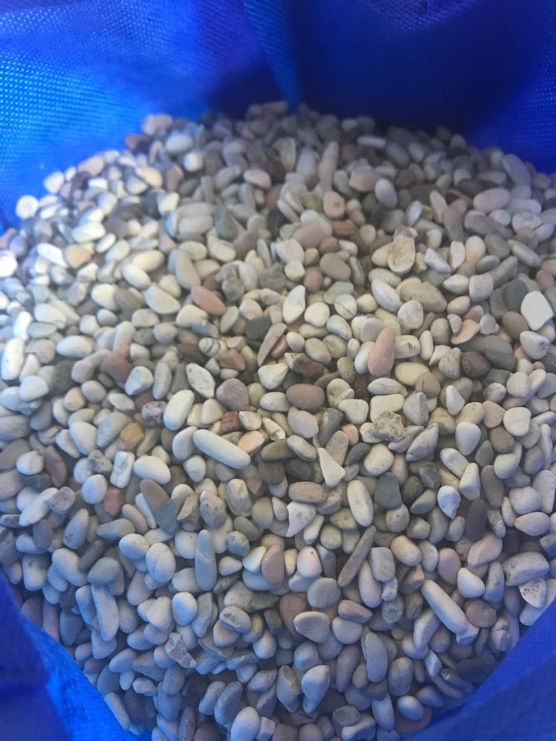 Gravel, Pet Supplies, Homes & Other Pet Accessories on Carousell