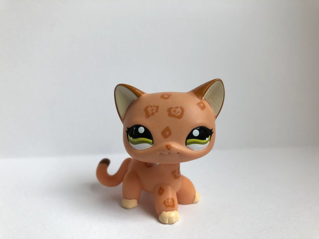 Lps shorthair cat 1120 clearance