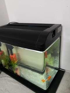 Aquarium
