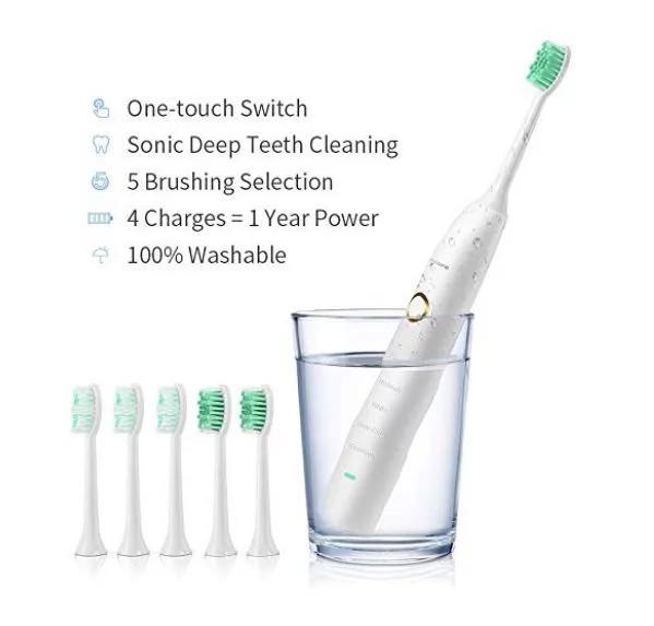 landwind toothbrush heads