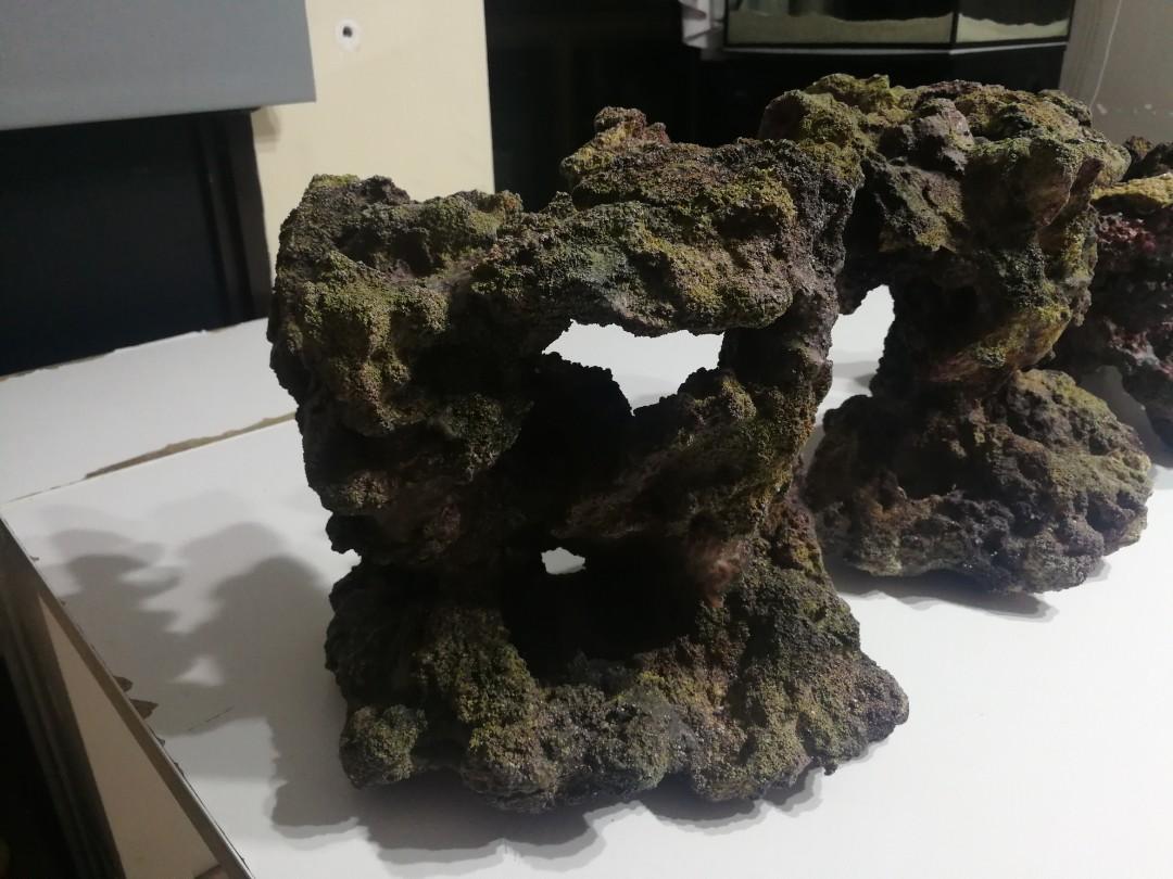 Fish tank rocks. Real rocks not fake. Made from real sand and tiny