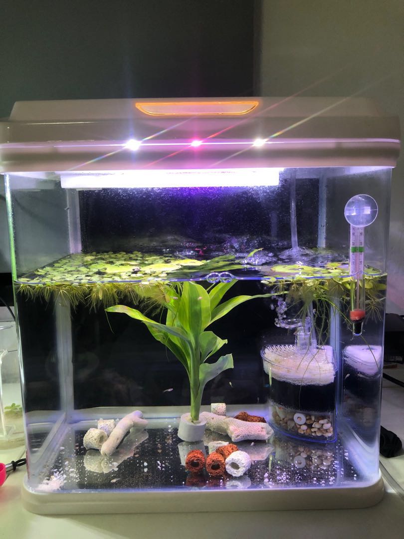 rs electricals aquarium