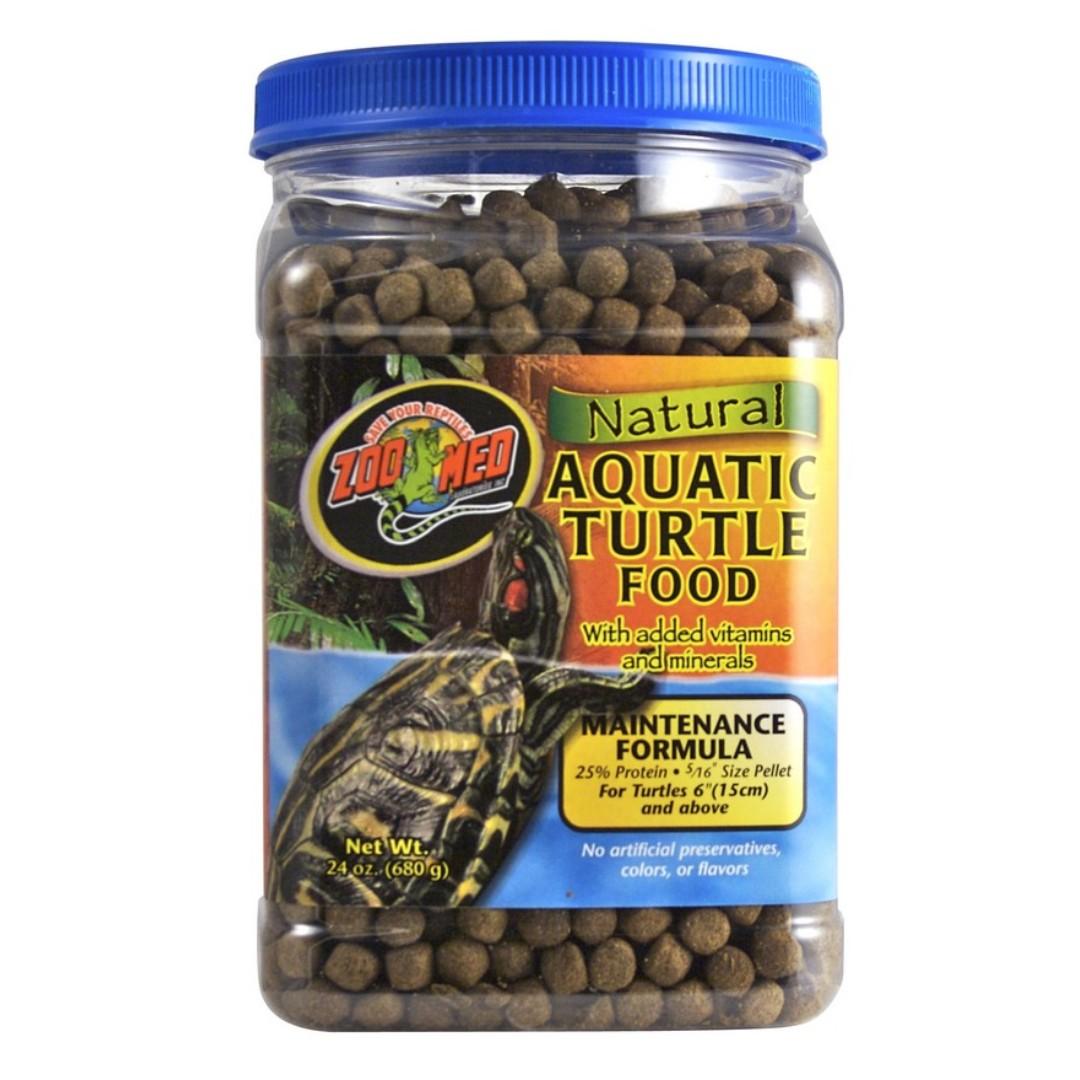 small turtle food