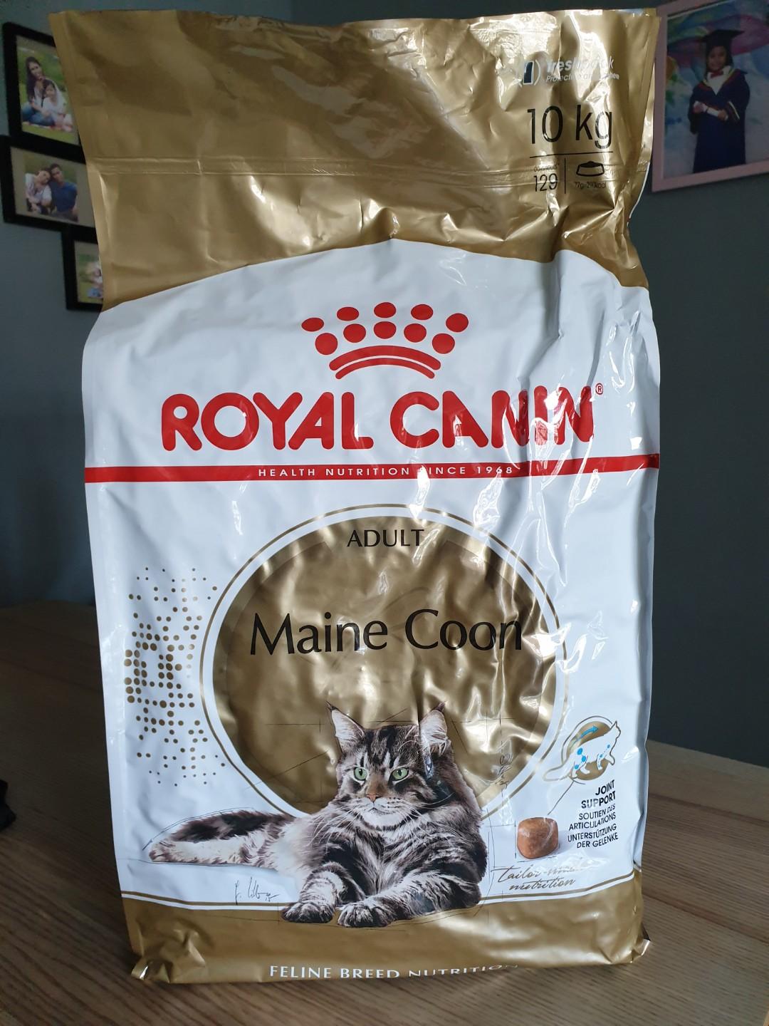 royal canin maine coon