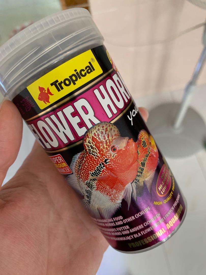 tropical flower horn