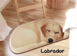 labrador puppies for sale olx