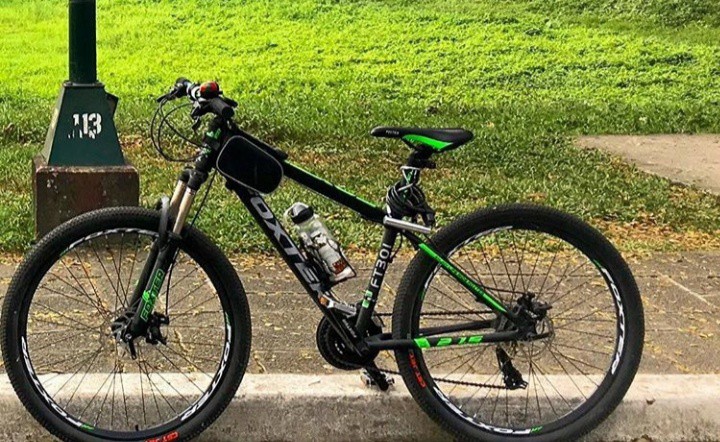 Foxter 27.5 ft 301 outlet