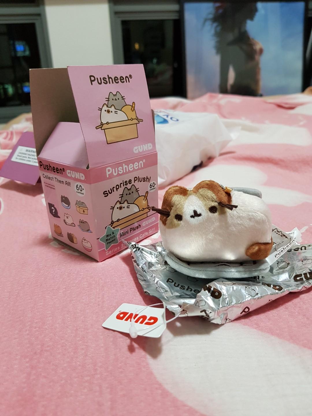 pusheen places cats sit