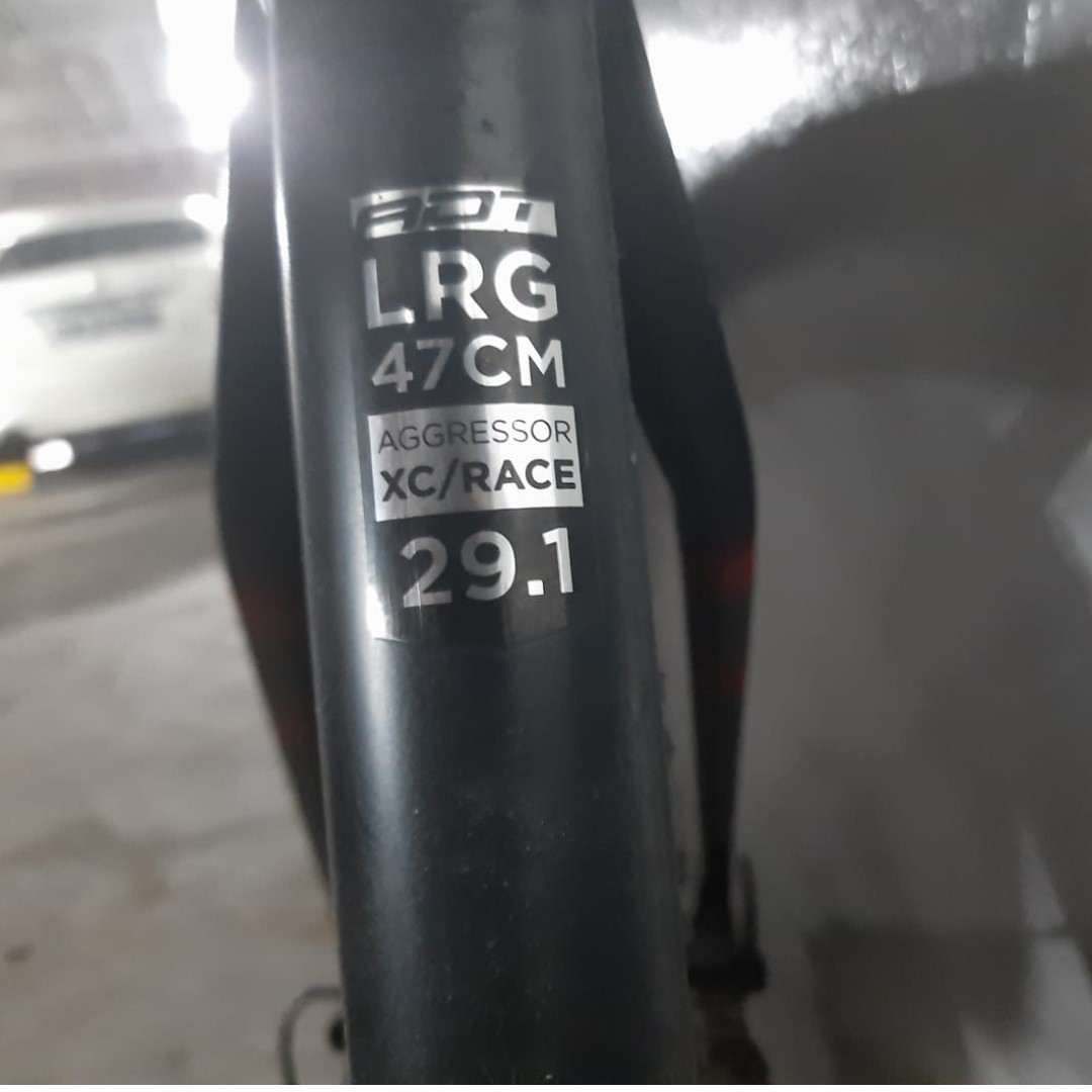avanti aggressor mountain bike