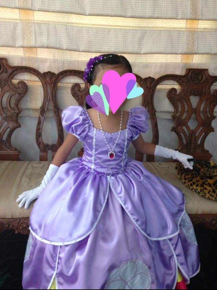 Princess sofia the first dress top