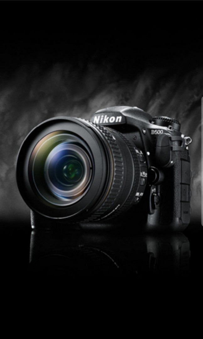 Cheap Professional Photography Service, Photography, Cameras on Carousell