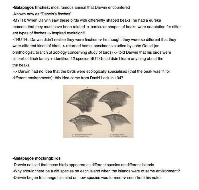 GET1020 Notes (Category: Textbooks) located in Singapore. Submitted by paetato (Listing ID 83529439, Image 1). Description: GET1020 Darwin and Evolution Comprehensive notes for every lecture. Bought these notes, edited them for my own revision as the prof changed some of the syllabus content. Includes the original notes and my edited ones (only edited the first 6 weeks notes) What I recommend: -Refer to the notes during the lecture and jot down a