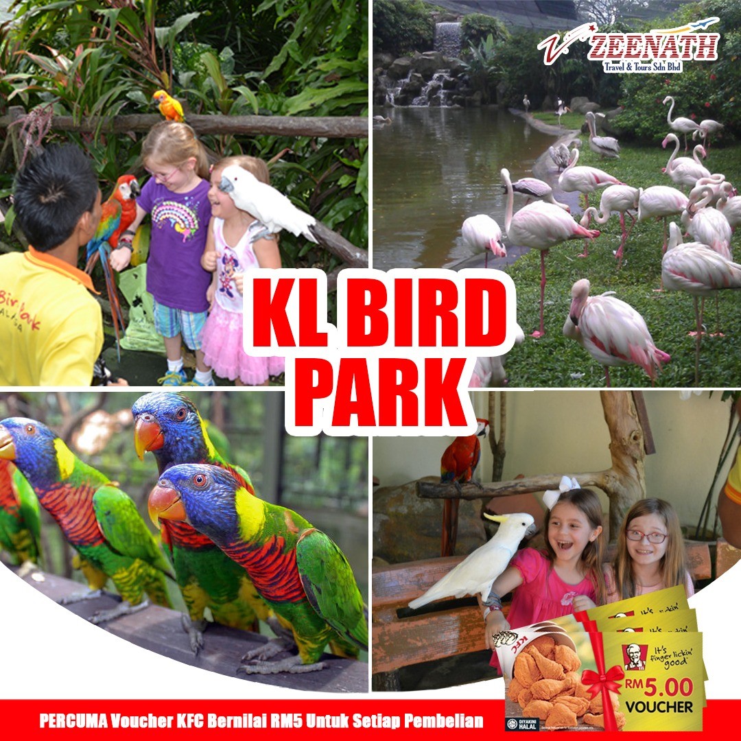 Kl Bird Park Entrance Ticket Tickets Vouchers Attractions Tickets On Carousell