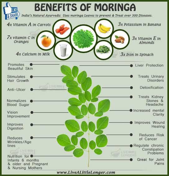 C-Organic Malunggay Tea (Moringa) (Category: Fresh Produce) located in Las Pinas. Submitted by enything (Listing ID 217223446, Image 3). Description: Malunggay Tea (Moringa) 6 pesos per tea bag 10 pcs per pack .