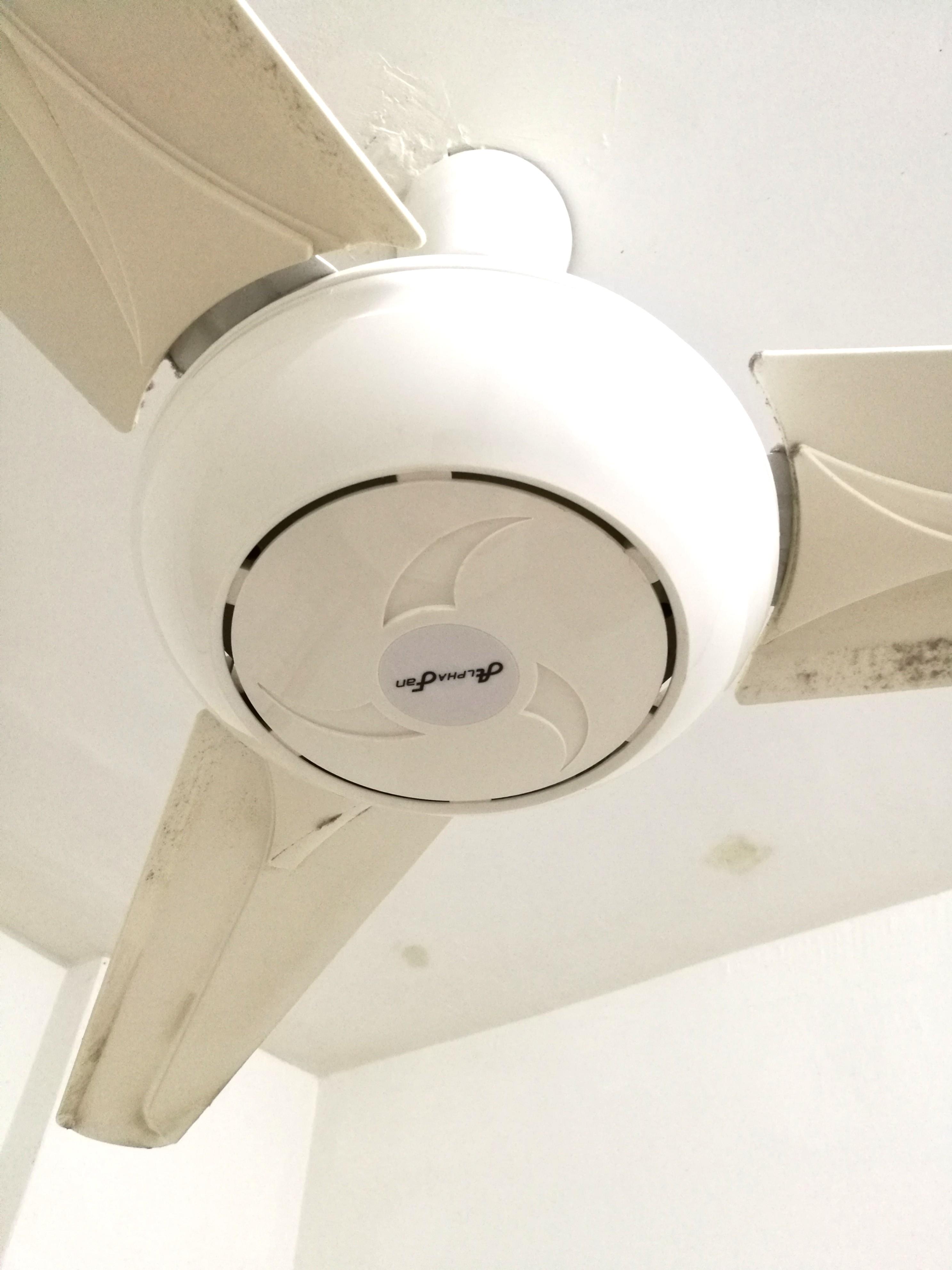 Alpha Ceiling Fan 56" with Regulator, TV & Home Appliances, Kitchen Appliances, Hobs & Hoods on