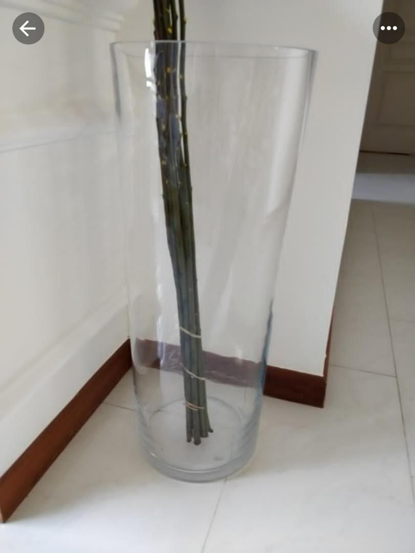 big glass cylinder