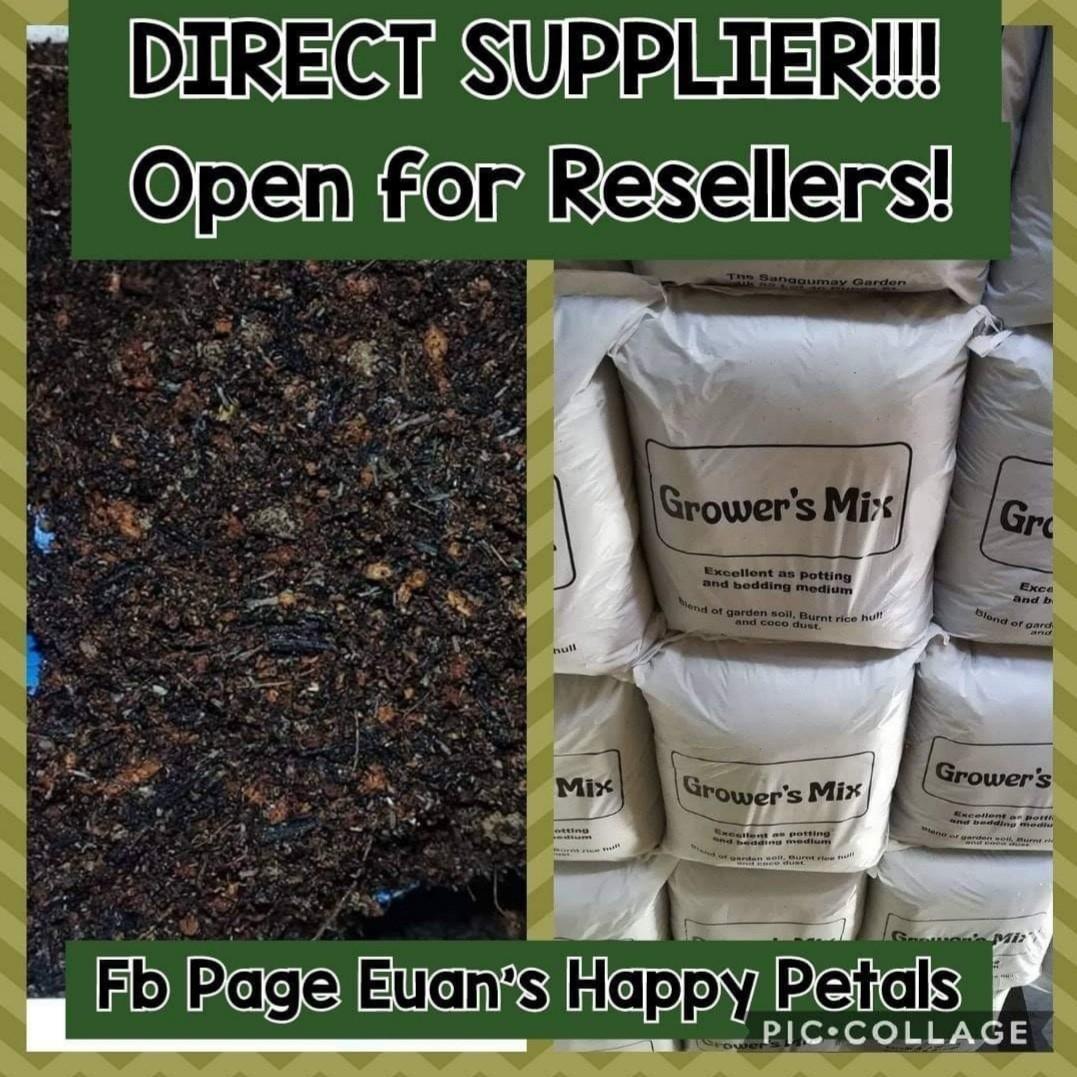 Growers Mix Potting Mix (Category: Pots & Planters) located in Quezon City. Submitted by EuansHP.EZundergarments (Listing ID 217258205, Image 2). Description: Direct supplier of GROWERS MIX potting mix soil Blend of garden soil, burnt rice hull, coco peat 5-6 kilos per bag Php 80 per bag (retail price) Also available in wholesale price We can deliver with minimal delivery charge within QC, Caloocan, Malabon, Marikina, Makati, Pasig and Manila are