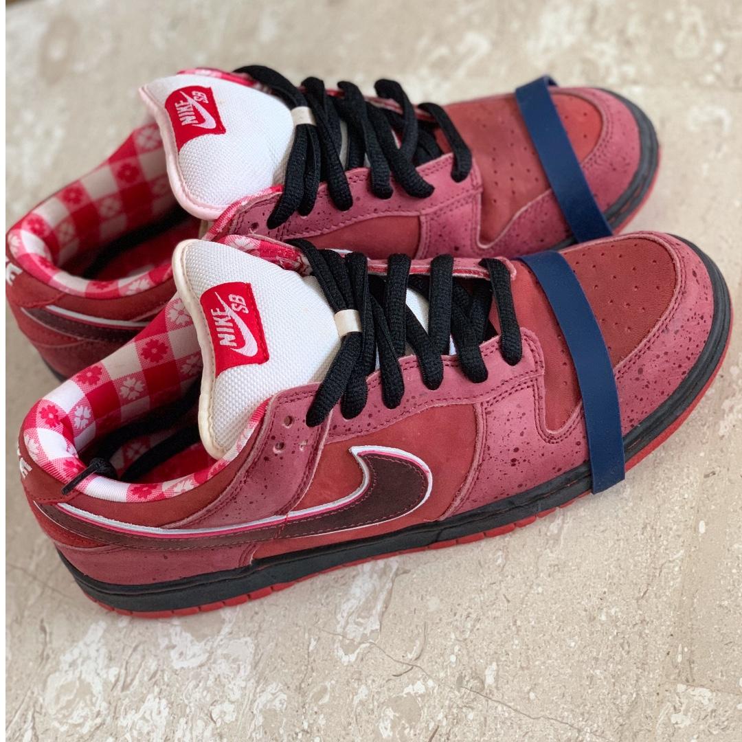 nike dunk sb low red lobster