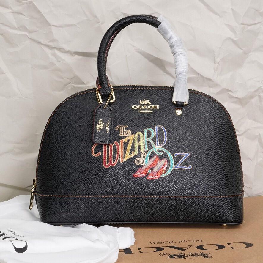 Wizard of 2025 oz coach wristlet