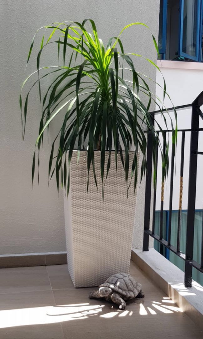 Home Garden Planter Large Outdoor Ceramic Pot Rattan Design Self Watering Planter Gardening Pots Planters On Carousell