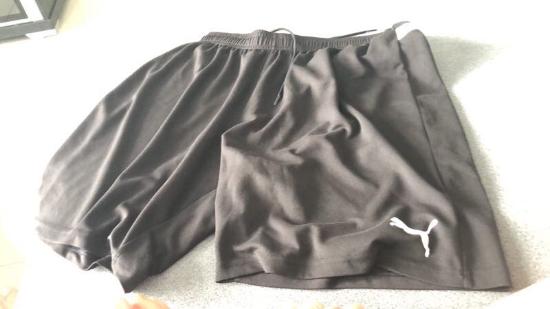 puma shorts price