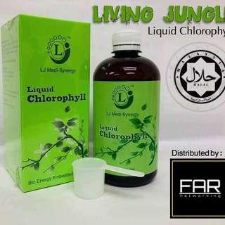 LJ Liquid Chlorophyll